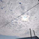 ���� ���, �������, 33 ���� - ��������� 4 ������ 2026 � ������ ������ ��������