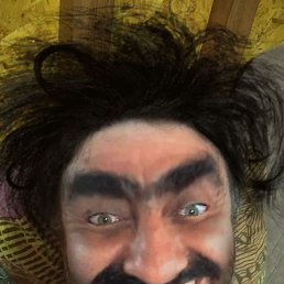 ���� �����, 41 ���, ������ �����