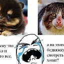 ���� �����, ������, 67 ��� - ��������� 25 ������ 2024 � ������ ������ ��������