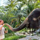 ���� ��������, ���������, 50 ��� - ��������� 15 ������� 2026