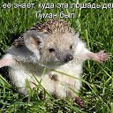���� ��������, ���������, 63 ���� - ��������� 14 ���� 2025 � ������ ���� ����������