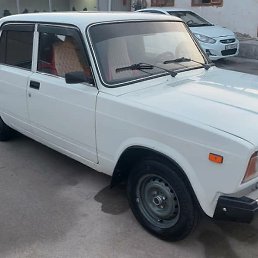 ����������, ������, 24 ����