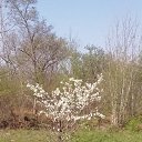 ���� ������, ������, 55 ��� - ��������� 6 ��� 2024