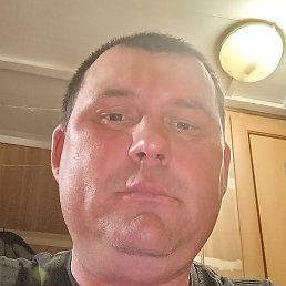 �������, ������, 41 ���