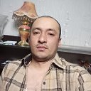 ���� �����������, ������, 37 ��� - ��������� 27 ������� 2024 � ������ ���� ����������