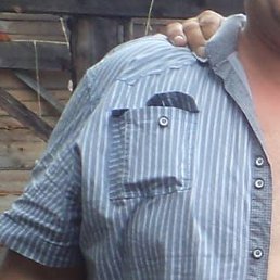 ���������, ���������, 54 ����