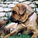 ���� ������, ������, 67 ��� - ��������� 15 ��� 2025 � ������ ���� ����������