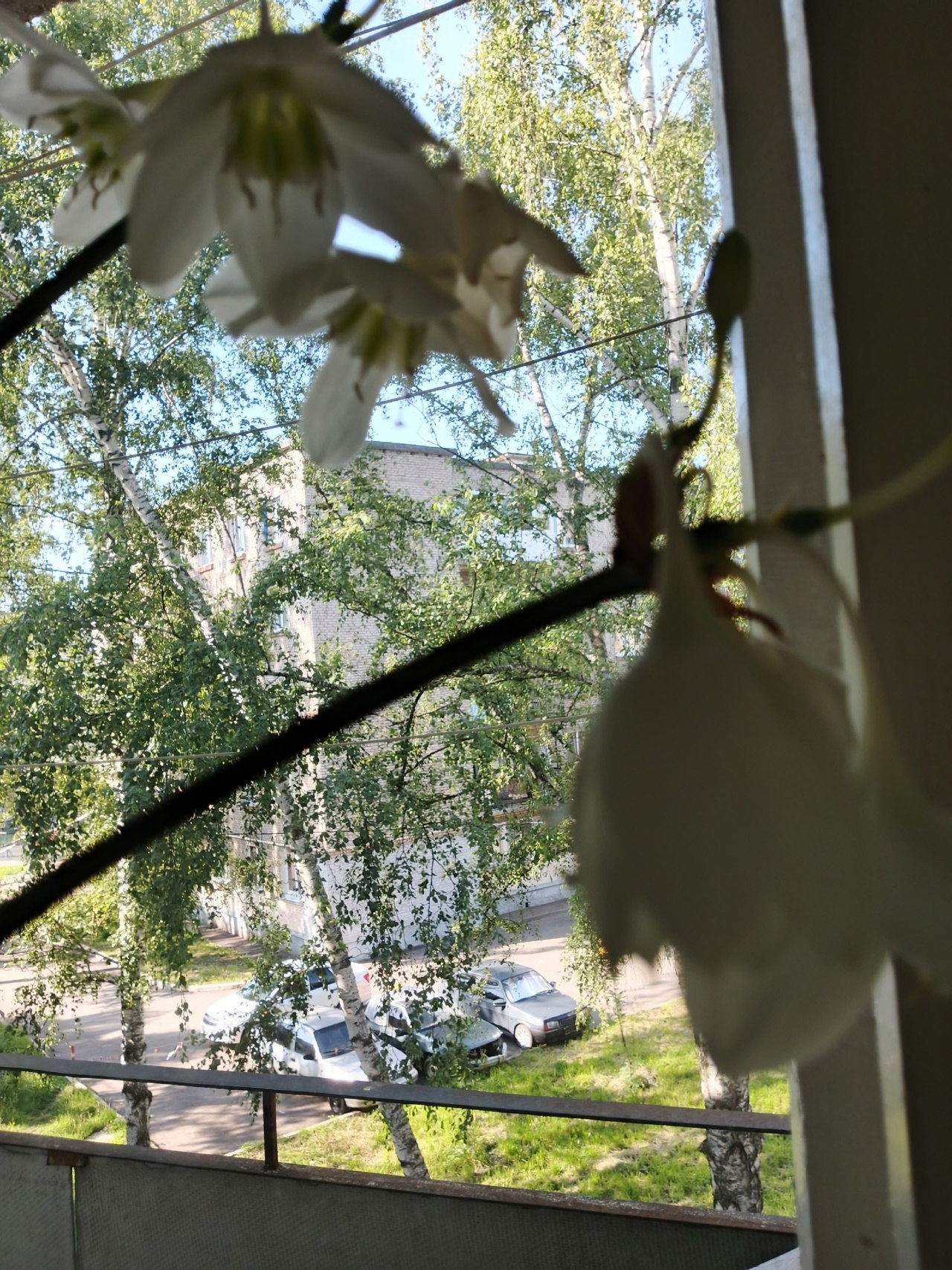 Светланка - 12 июля 2025 в 14:09