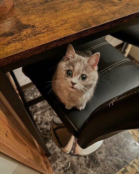 Ÿ  .   2 .           ... - 4