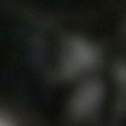 �����, 44 ����, ������