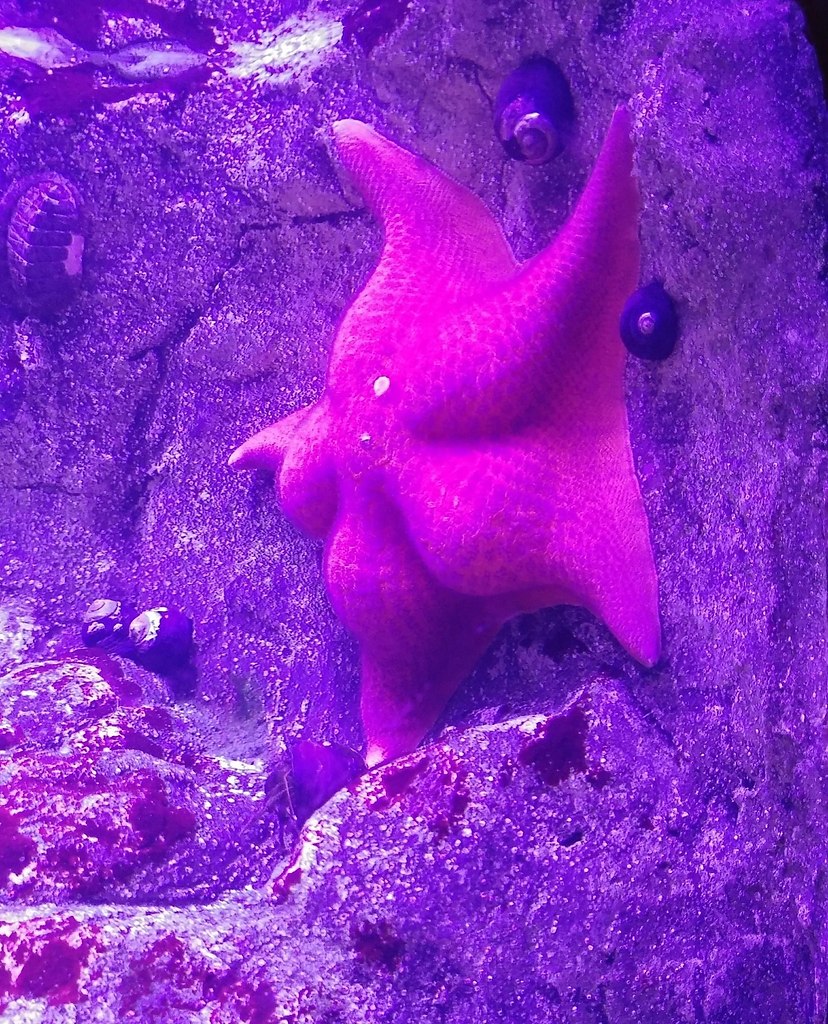 ��� ��������� ������� ������ ���������� ����������. � ������� �� ��������� ���� � ������� ������, ... - 2