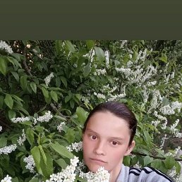  , 29, 