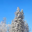 ���� �����, ������������ - ��������� 18 ������ 2024 � ������ ������ ��������