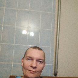 ���� ������, �����, 43 ���� - ��������� 11 ������� 2026