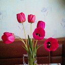 ���� ****����������****, �������� - ��������� 23 ������ 2025 � ������ ���� ����������