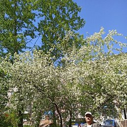 �������, �����, 73 ����