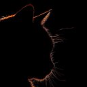 ���� Alexandr, ������� �������� - ��������� 22 ������� 2025 � ������ ������ ��������