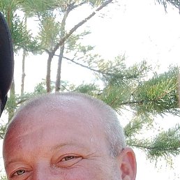 ������, �������, 37 ���