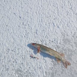 ���� ������, �����������, 57 ��� - ��������� 21 ������ 2023