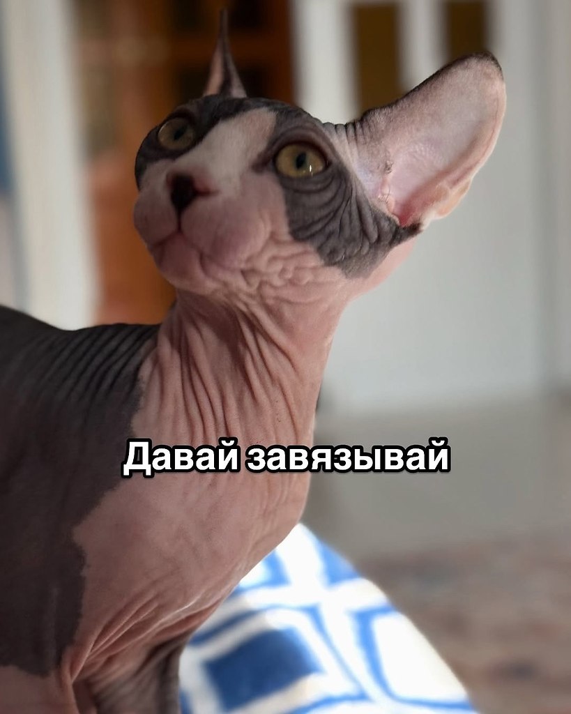   - 10  2025  21:17 - 3