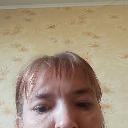  , 41, 
