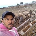 ���� Yankiel, ������, 36 ��� - ��������� 31 ���� 2025