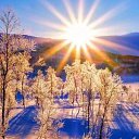 ���� ����, ����, 25 ��� - ��������� 16 ����� 2026 � ������ ���� ����������