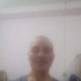 , 57, 