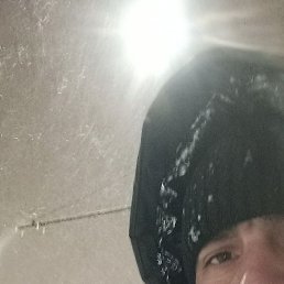 �����, �������, 38 ���