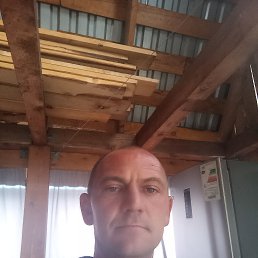 , 43, 