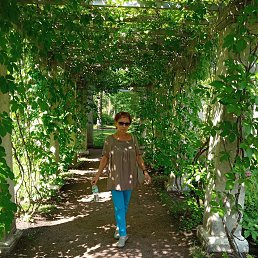 ���� �����, ������, 65 ��� - ��������� 12 ������ 2023