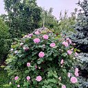 ���� �������=, ������, 64 ���� - ��������� 4 ���� 2025 � ������ ���� ������ ��������� �� �������