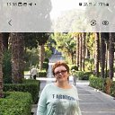 ���� ������, �����, 60 ��� - ��������� 25 ������� 2024 � ������ ���� ����������