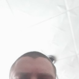 , 32, 