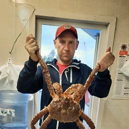 �������, ������, 41 ���