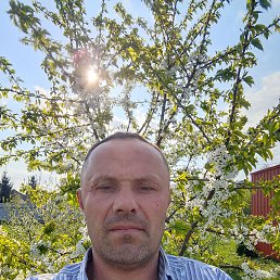 , 41 , -