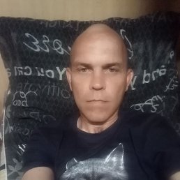 , 41, 