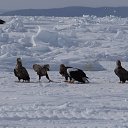 ���� ������, ����-��������� - ��������� 11 ������� 2025 � ������ ��������