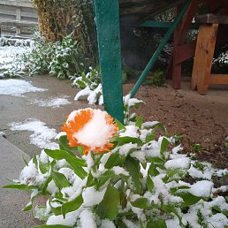 ���� �����, �����, 59 ��� - ��������� 16 ������ 2023