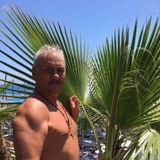 ���� ������, ������ ��������, 64 ���� - ��������� 19 ������� 2024