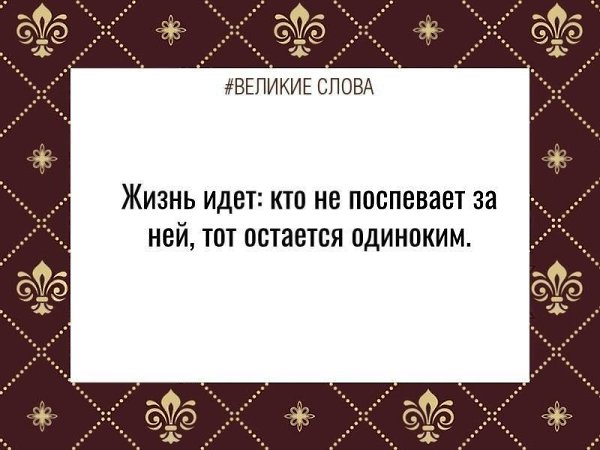   | ,    - 17  2024  15:55