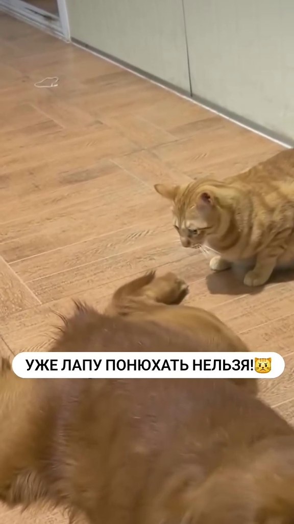������� �� ��������!)