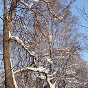 ���� �����, ������ - ��������� 19 ������ 2026 � ������ ���� ����������