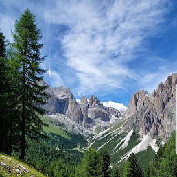 ���� Gauvin, �����, 40 ��� - ��������� 4 ������ 2025