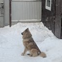 ��� ������ ���� �� ������� ���� ����������