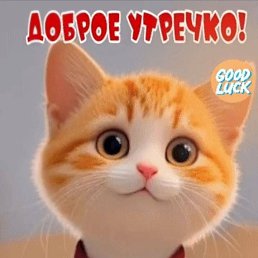 ���� �������, ��������, 29 ��� - ��������� 4 ��� 2024