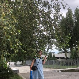 , 43, 