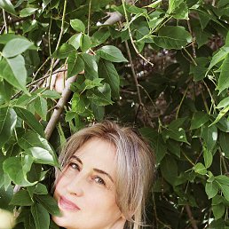 �����, �����������, 43 ����