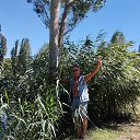 ���� ���������, �����-���������, 62 ���� - ��������� 31 ������ 2025 � ������ ���� ����������