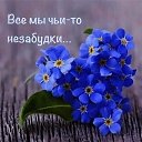 ���� �������, ������ ��������, 72 ���� - ��������� 8 ����� 2026 � ������ ������ ��������